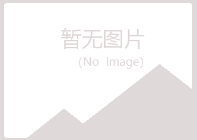 安丘冰夏化学有限公司